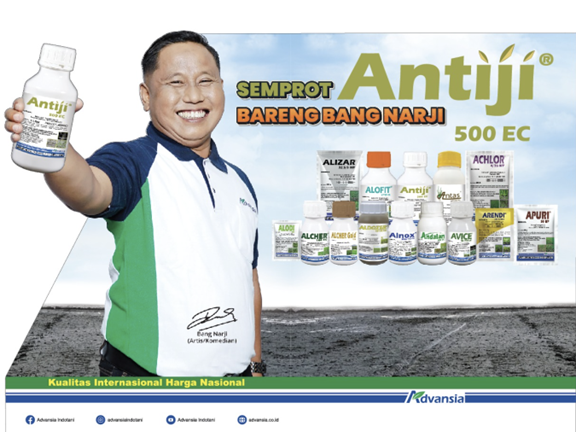 Cara Pintar Kendalikan Gulma, Panen Padi Lebih Optimal🌾