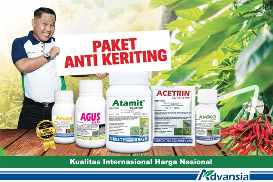 Paket Anti Keriting