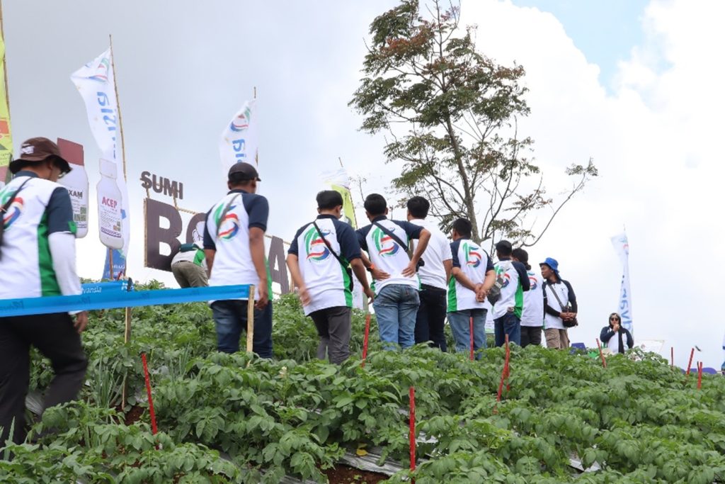 Demonstrasi Aplikasi Produk Advansia di Lahan Kentang