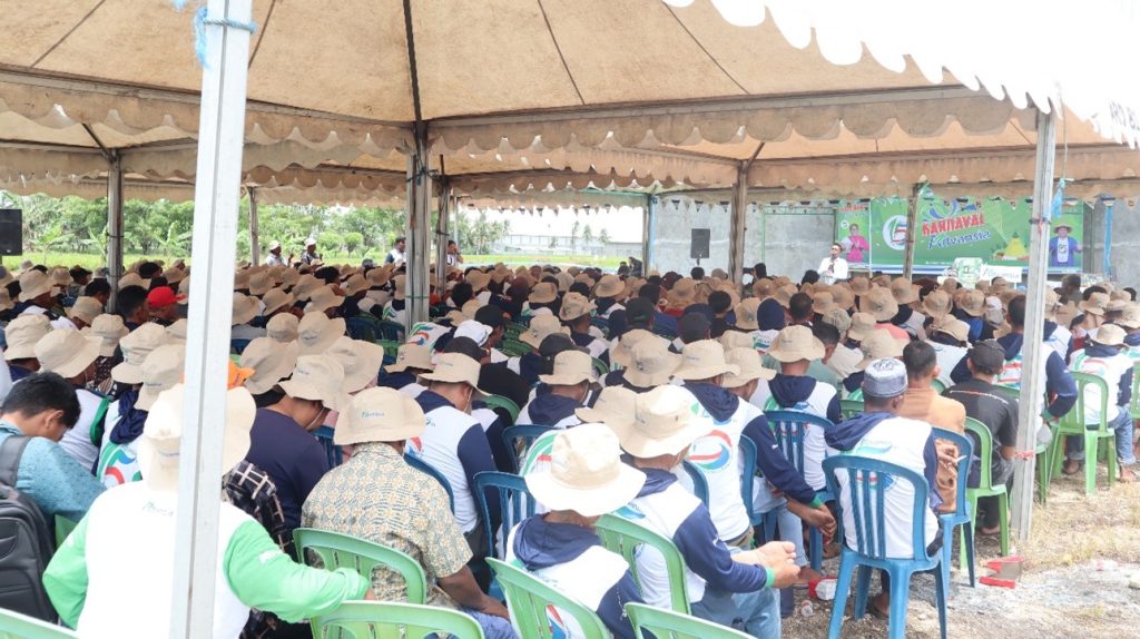 Foto  Ratusan Petani Padi Menghadiri Karnaval Advansia di Sidrap, Sulawesi Selatan.