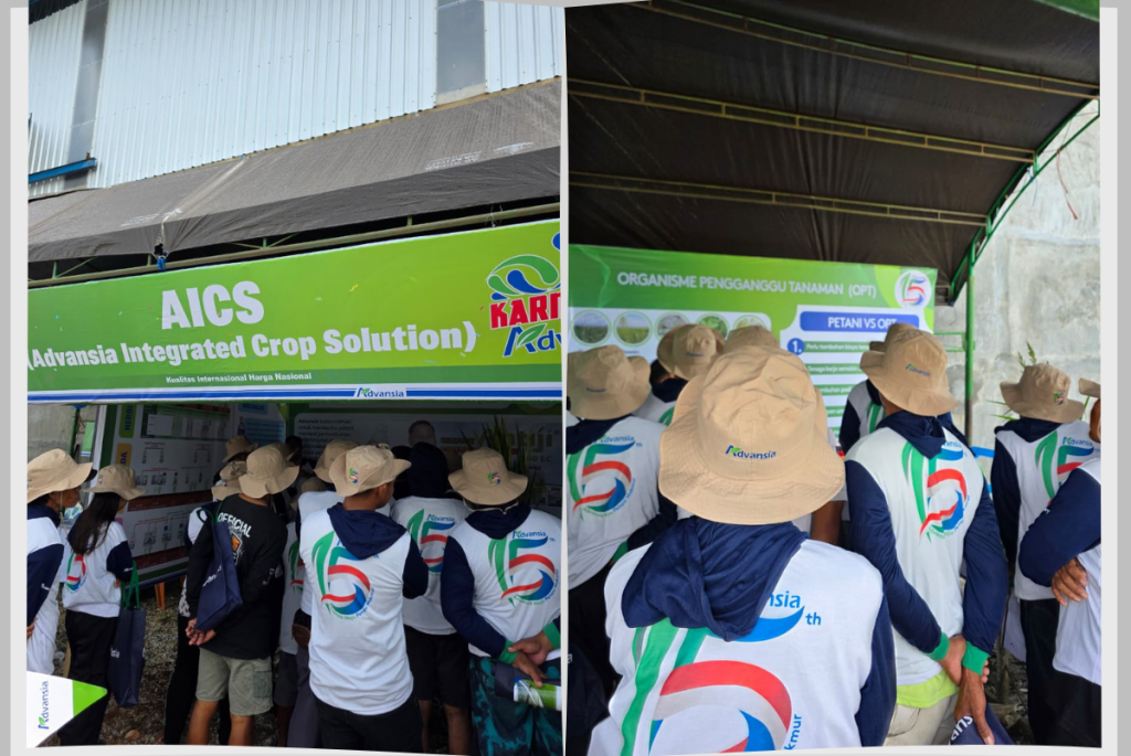 Karnaval Adansia SIDRAP