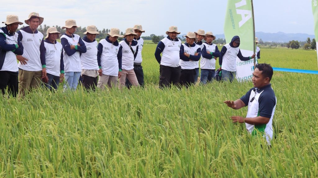 Petani padi diberikan edukasi dalam menghadapi permasalah tanaman menggunakan AICS 
(Advansia Integrated Crop Solution).

