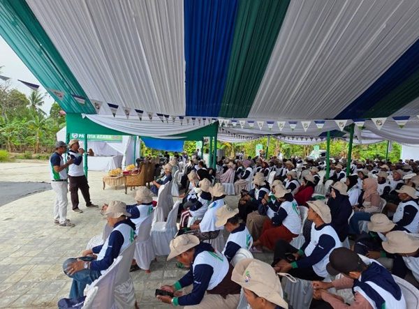 Gempita Karnaval Advansia di Pinrang
