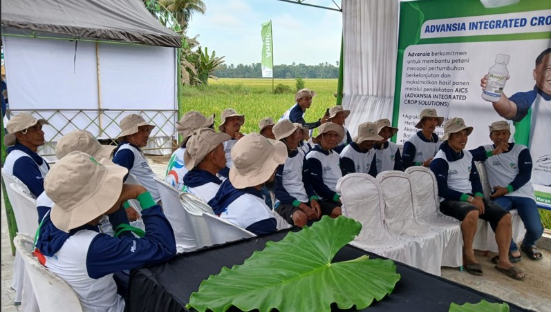 Gempita Karnaval Advansia di Pinrang - Edukasi Petani