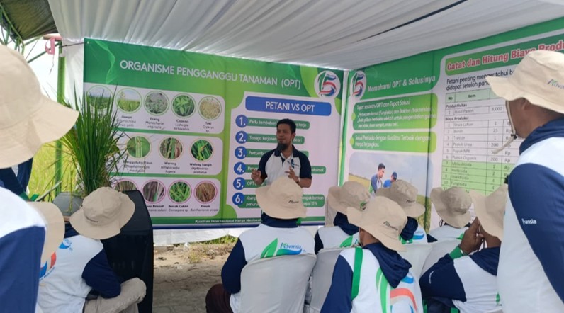 Gempita Karnaval Advansia di Pinrang - Penjelasan OPT
