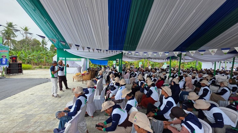 Gempita Karnaval Advansia di Pinrang