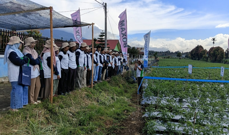 Karnaval Advansia di Kaki Gunung Kerinci - hasil demplot