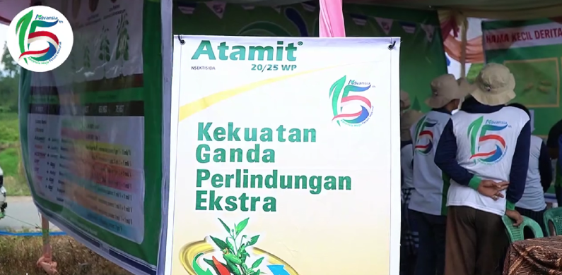 Solusi Tuntas untuk Tanaman Cabai Paket Anti Keriting