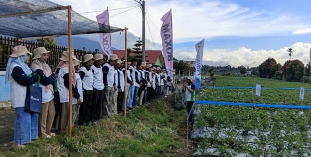 Karnaval Advansia Agam Melihat Demplot Tanaman Cabai