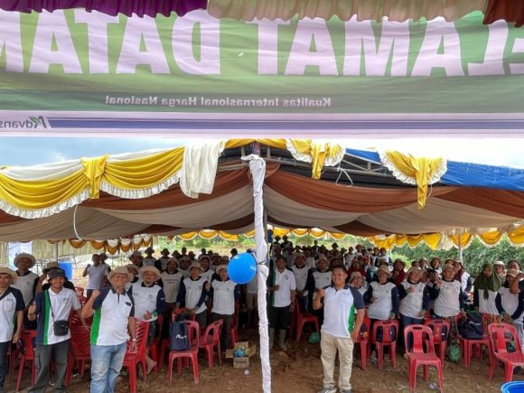 Pecah! Ratusan Petani Desa Bukit Serbu Karnaval Advansia, Buktikan Sendiri Rahasia Panen Kentang & Tomat Melimpah