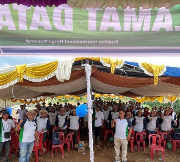 Pecah! Ratusan Petani Desa Bukit Serbu Karnaval Advansia, Buktikan Sendiri Rahasia Panen Kentang & Tomat Melimpah