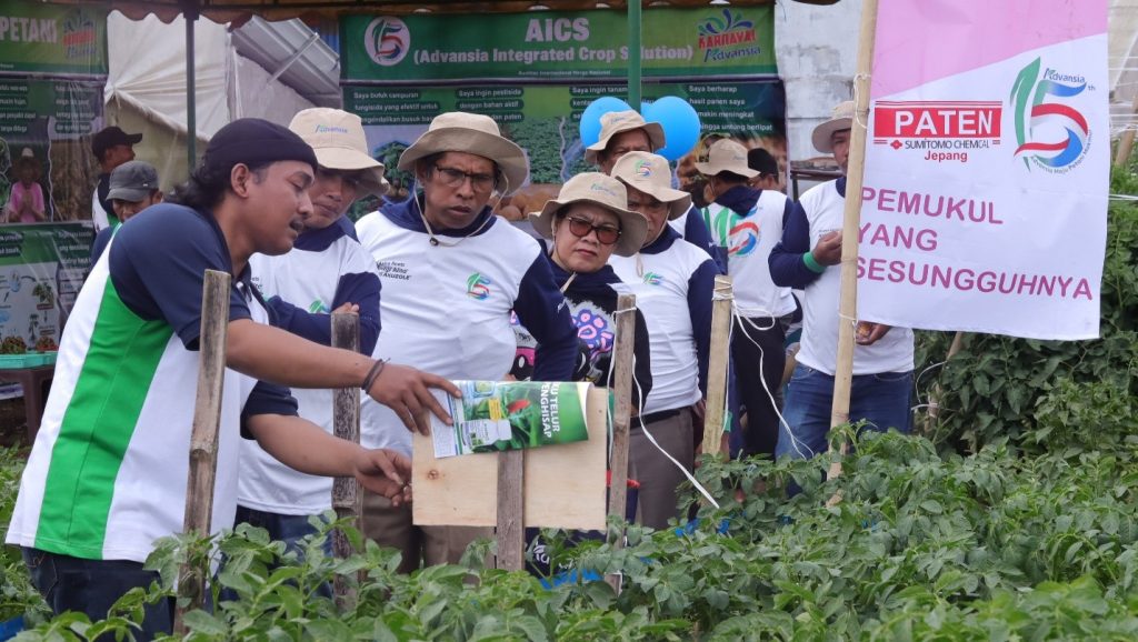 Karnaval Advansia - Desa Bukit bersama petani tomat
