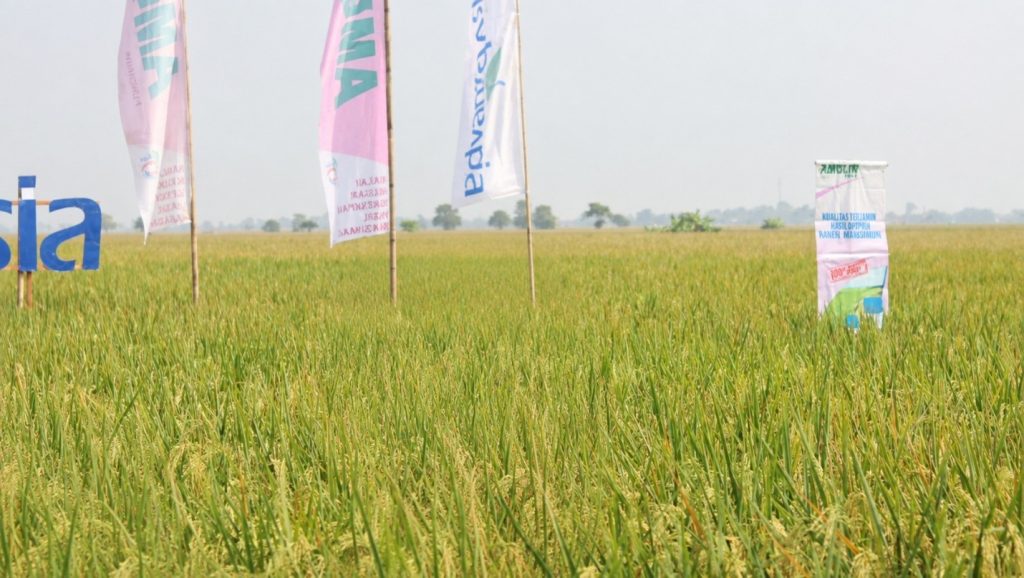 Karnaval Advansia di Karawang