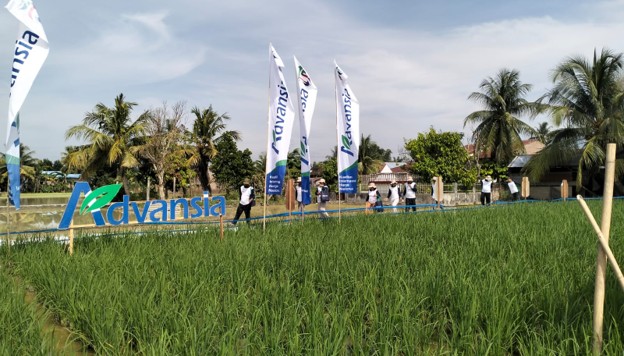 Karnaval Advansia - Sergai Manortor