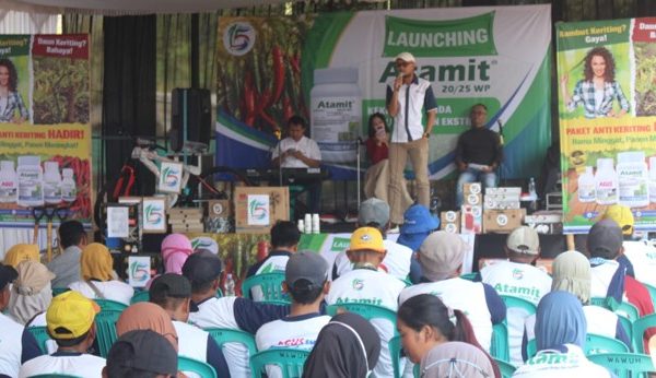 Advansia Indotani Resmi Luncurkan ATAMIT 20/25 WP, Kekuatan Ganda, Perlindungan Extra Untuk Thrips dan Tungau