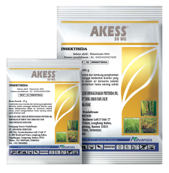 AKES GOLD 25&100gr 2023