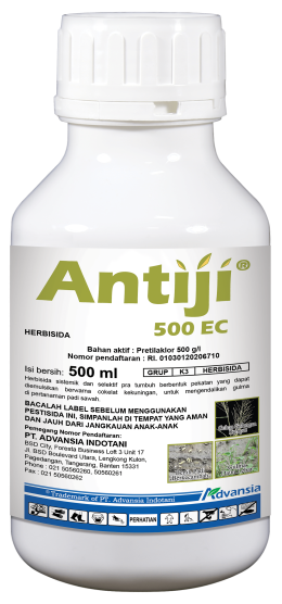 ANTIJI PET500ml 2023 ANTIJI PET500ml 2023