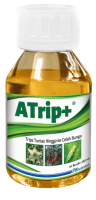 ATRIP Plus
