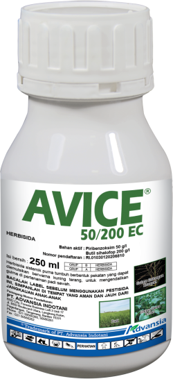 AVICE PET250ml 2021 AVICE PET250ml 2021