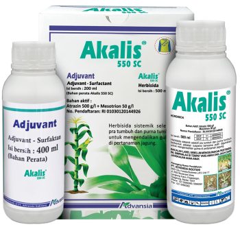 Akalis botol dan kemasan 2023