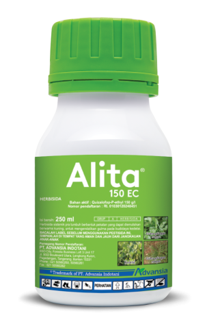 Alita_250ml Alita_250ml