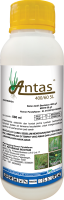 Antas 500ml 2023
