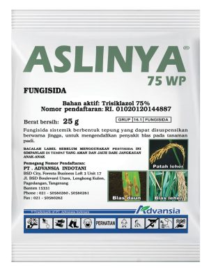 Aslinya 25gr