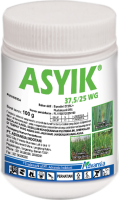 Asyik Botol